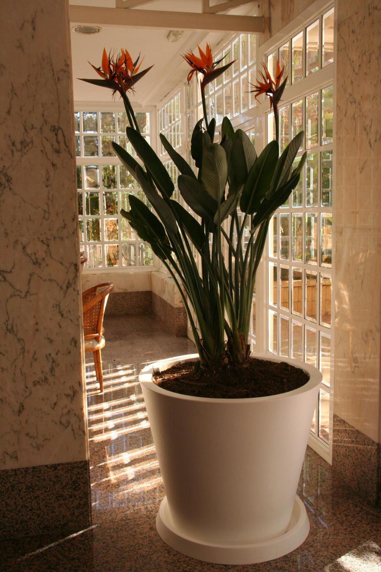 Apartment Maria Victoria *